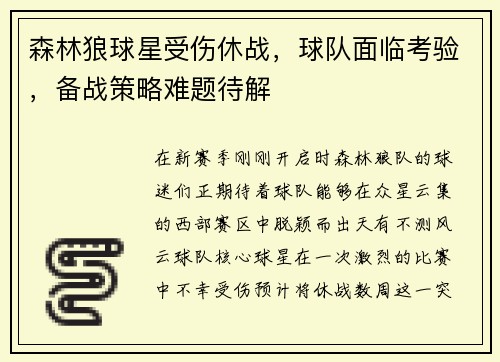 森林狼球星受伤休战，球队面临考验，备战策略难题待解